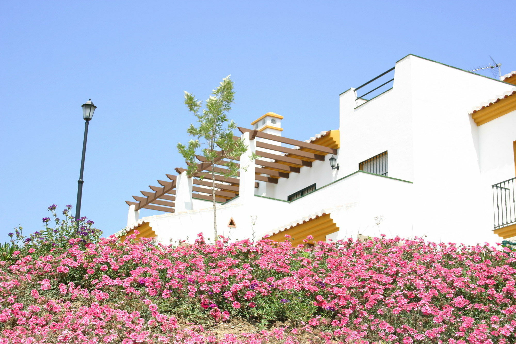 Castillo De Zalia Conjunto Rural Alcaucín Exterior foto